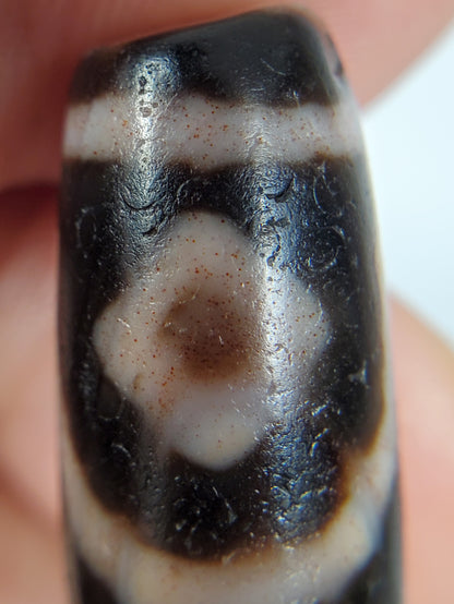 Antique Tibetan Two Diamond Eye Dzi Bead with Bloodspots (TiD-Ant-XB-TwE-050125)