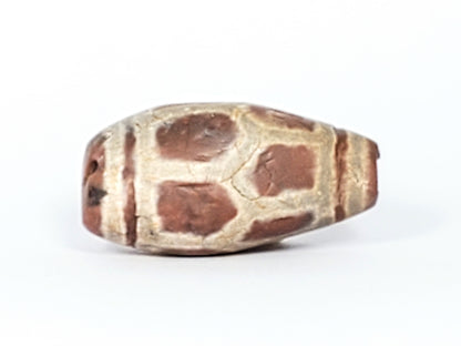 Ancient Longevity Motif Dzi (AZ-L-040524)