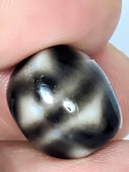 Ancient Round Round Tiger Tooth Dzi Bead - 老達洛珠 (TiD-Anc-R-s-TT-021724)