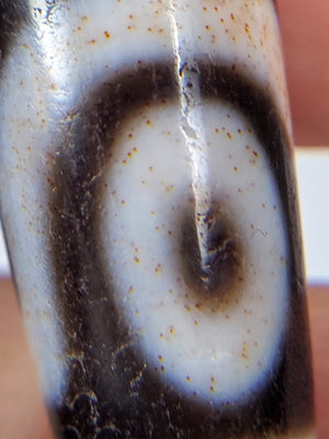 Ancient Tibetan Three Eye Motif Dzi with Extreme Bloodspots - Very Rare (TiD-Anc-XB-ThE-100224)