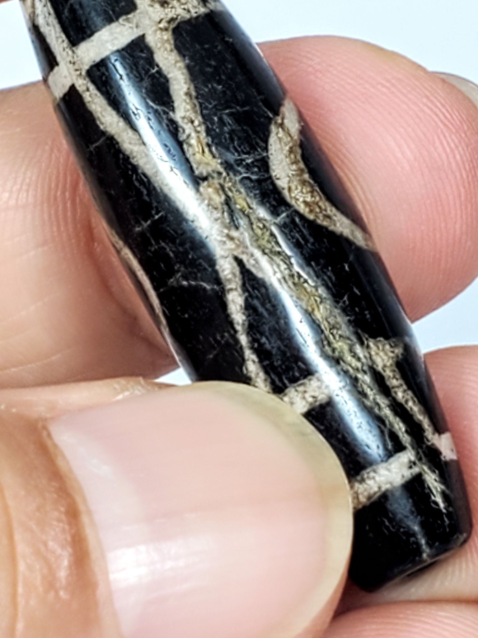 Ancient Two Eye Dzi bead held in hand for scale — 45.1mm × 13.7mm, heavy calcification visible across full body