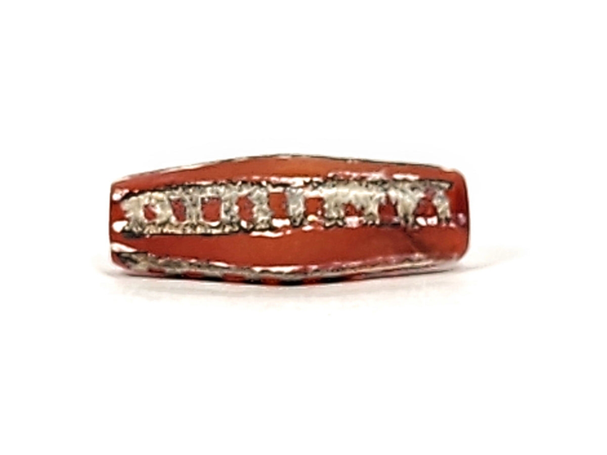 Ac-010825-4RT face C, clearest rail compartments, bright silver-grey rails on terracotta-red, octagonal flat facet, unretouched