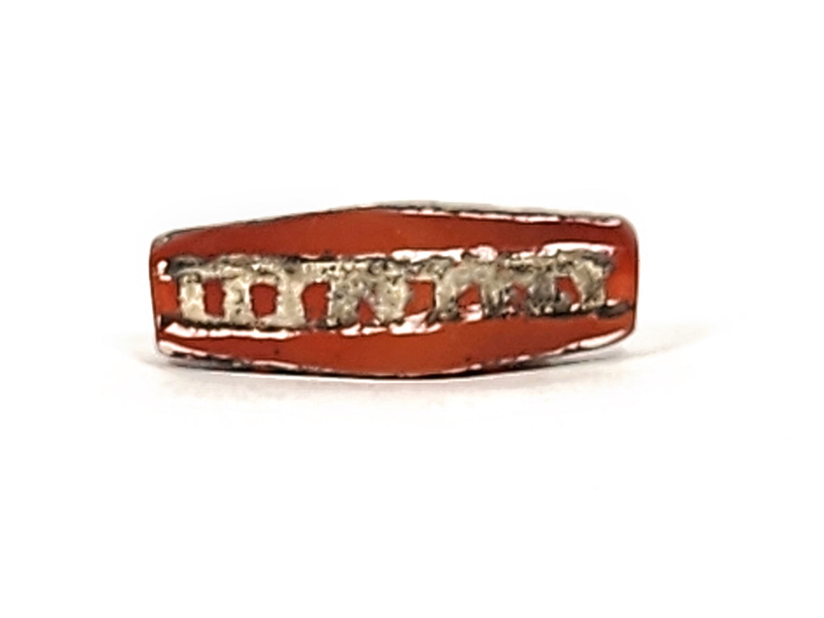 Ac-010825-4RT hero face A, 28.9×11.2mm terracotta-red carnelian, rail track band, silver-grey cells, unretouched