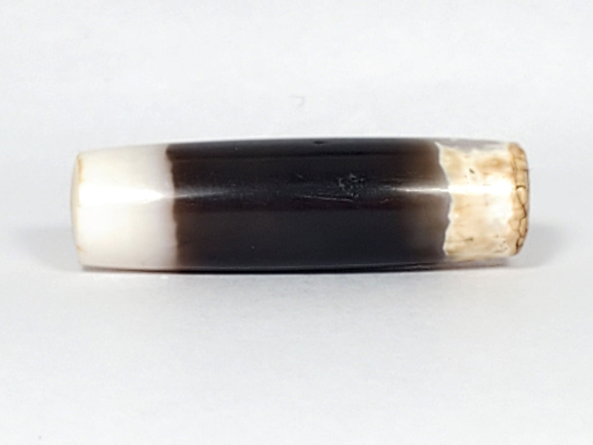 Ac-061426-1SChungBS ancient Chung dzi, left end, intact bright white cap, ancient drill hole warm interior, unretouched