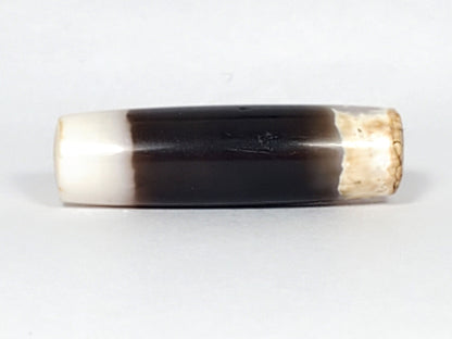 Ac-061426-1SChungBS ancient Chung dzi, left end, intact bright white cap, ancient drill hole warm interior, unretouched