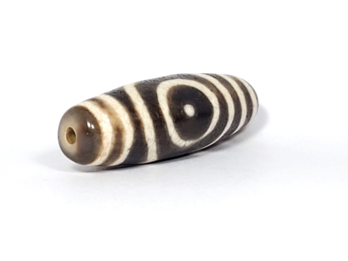 Ac-082325-DHE2 angled view, oval face visible, drill hole right end, honey-tan tip, semi-gloss surface, unretouched