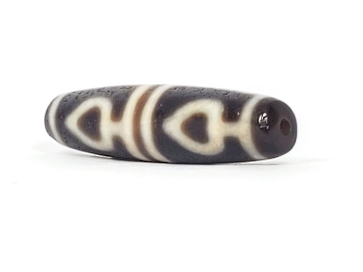 Ac-061826-FLB2 left drill hole end, cool grey-brown tip, leaf oval forms visible from end perspective, unretouched
