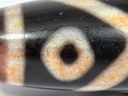 Antique Eight Eye Tiger Tooth Tibetan Dzi Bead with Extreme Bloodspots (092425)