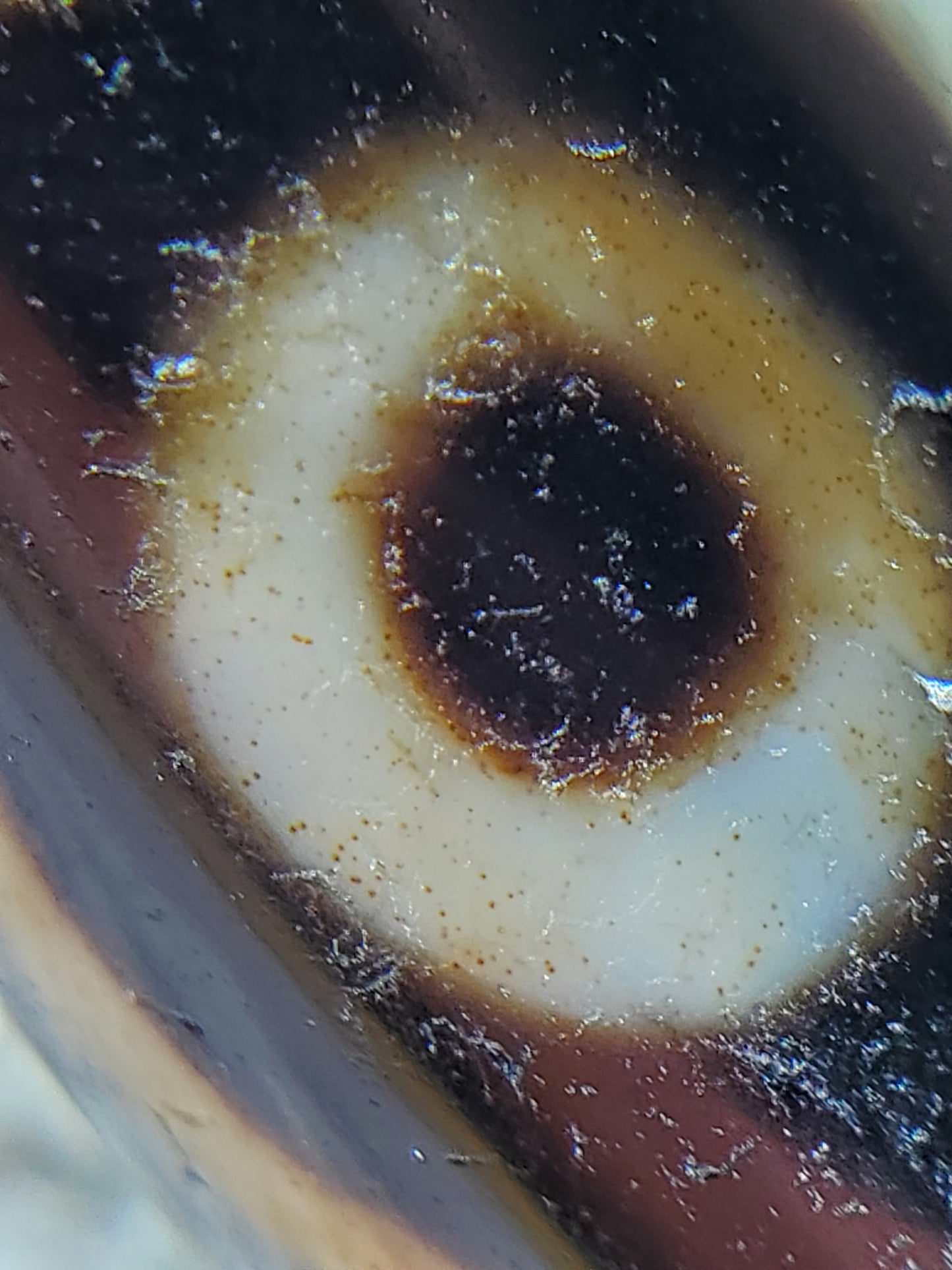 Antique Five Eye Motif Dzi Bead with Bloodspots (AntD-B-S-FiE-061223)