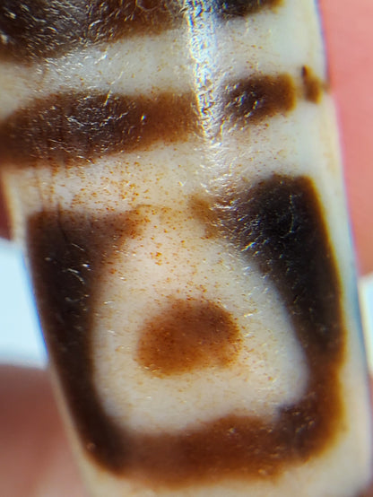 Antique Four Leaf Bodhi Dzi Bead with Bloodspots (TiD-Ant-B-FoLB-101624)