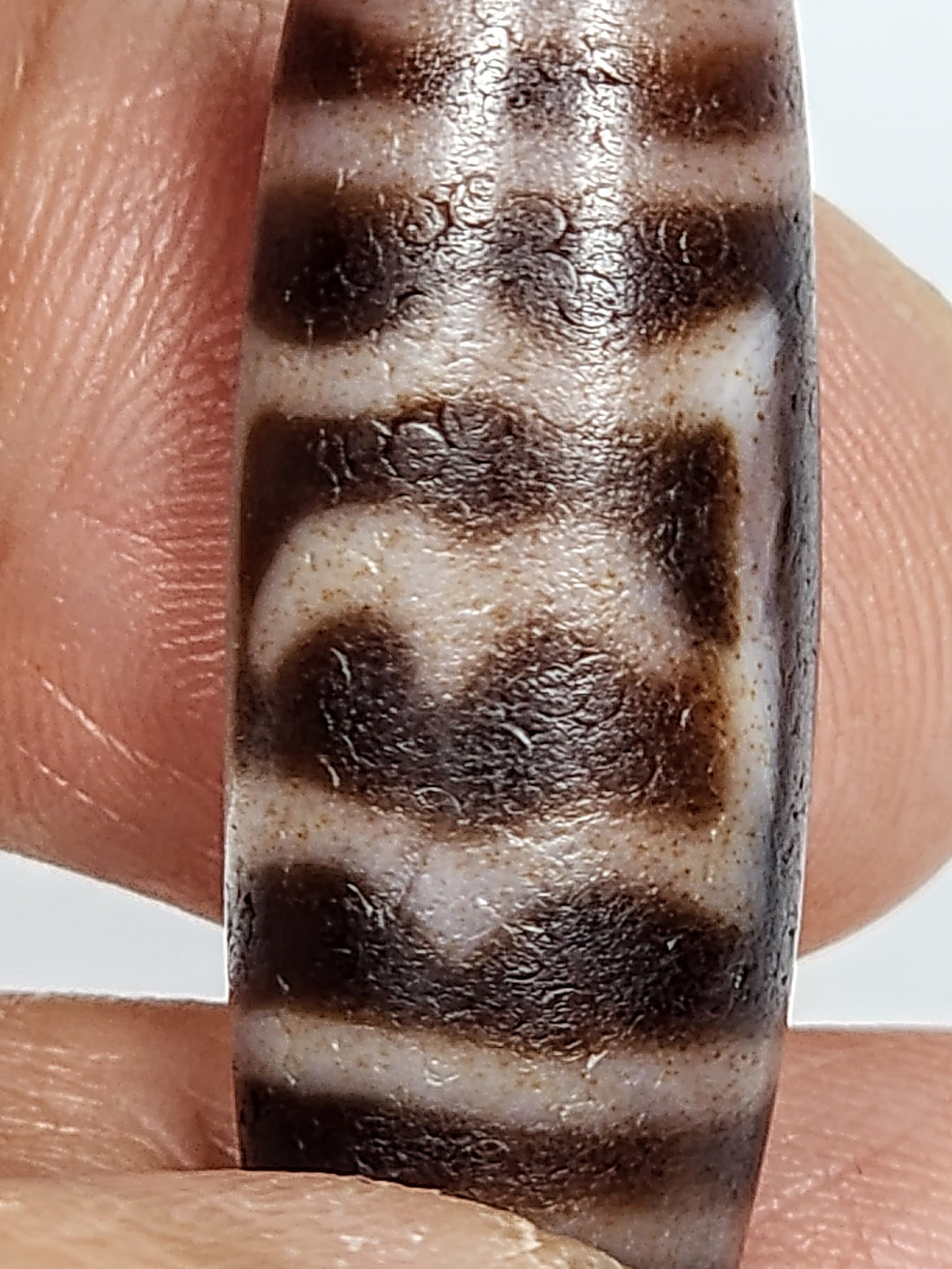 Antique Garuda Motif Dzi Bead with Bloodspots (TiD-Ant-B-Garuda-011425)