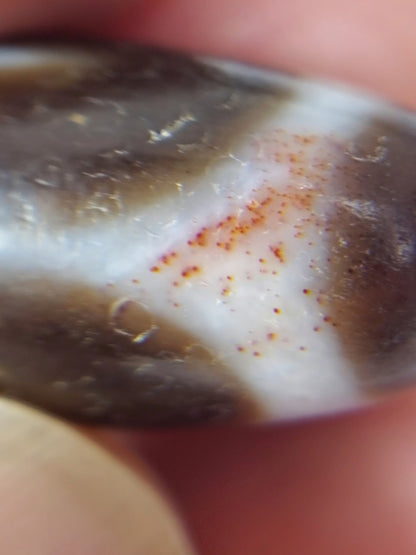 Antique Tibetan Tasso Motif Dzi Bead with Bloodspots (TiD-Ant-B-Tasso-093024)