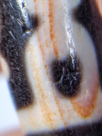 Antique Treasure Vase Motif Dzi Bead with Bloodspots (Ant-B-TV-092624)