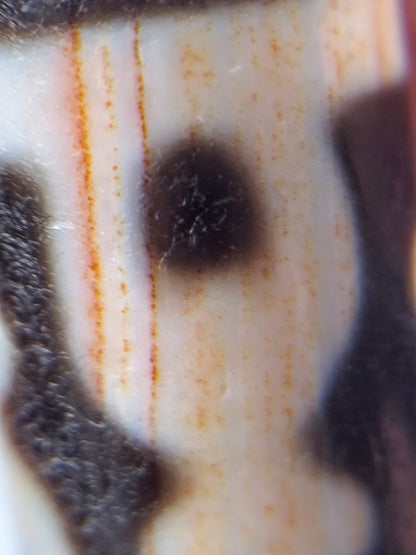 Antique Treasure Vase Motif Dzi Bead with Bloodspots (Ant-B-TV-092624)