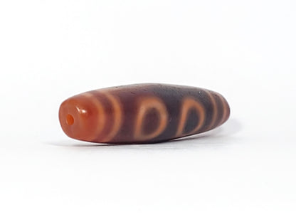At-060126-4E2, angled End B, terracotta-orange end cap and drilled hole, two C-ring eyes visible on dark body, unretouched