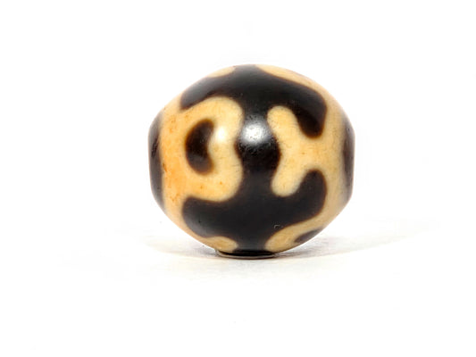 Antique Tibetan dzi bead, tiger tooth longevity motif, cream and dark brown agate, polished surface, visible patina, oval form