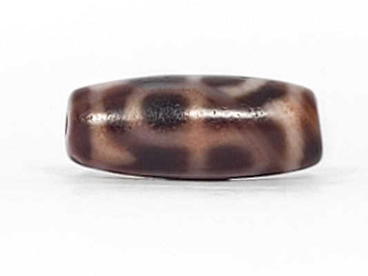 At-091124-TTL face C tiger tooth arc warm brown agate organic dark markings dzi unretouched