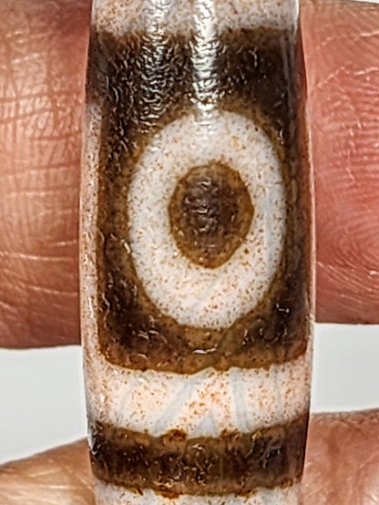 Antique two eye dzi bead At-092724-2EBS, Face A, full profile showing one closed concentric-ring eye, rose-peach cream stripes on dark brown agate, 41.0mm × 13.0mm, unretouched
