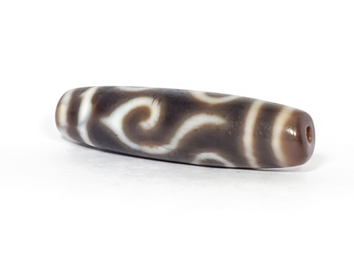 Ac-061926-DC4E second conch scroll face, inverted S-curl, vertical stripe dividers, matte surface, unretouched