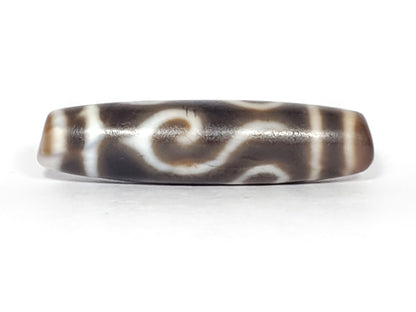Ac-061926-DC4E angled tip A, conch S-curve scroll, honey-brown end cap, semi-matte surface, unretouched