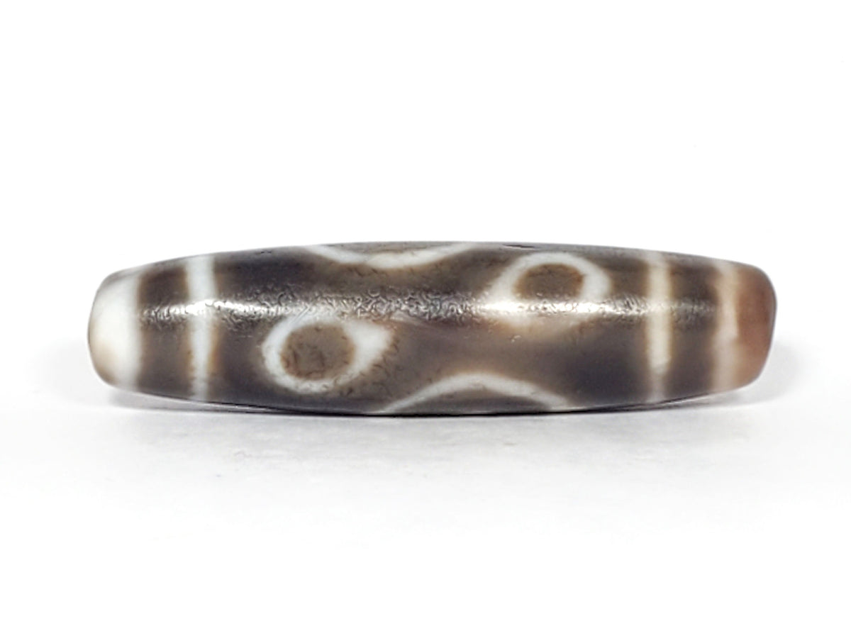 Ac-061926-DC4E angled tip B, dharma conch scroll face, dark grey-brown agate, 52.8×13.4mm, unretouched
