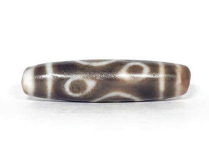 Ac-061926-DC4E angled tip B, dharma conch scroll face, dark grey-brown agate, 52.8×13.4mm, unretouched