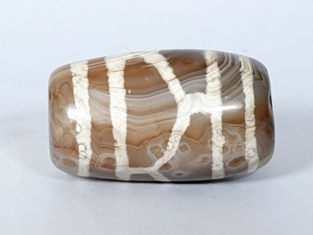 Antique longevity dzi — second face, tortoise shell grid pattern, circular agate inclusions visible lower right, At-0426-Lon2