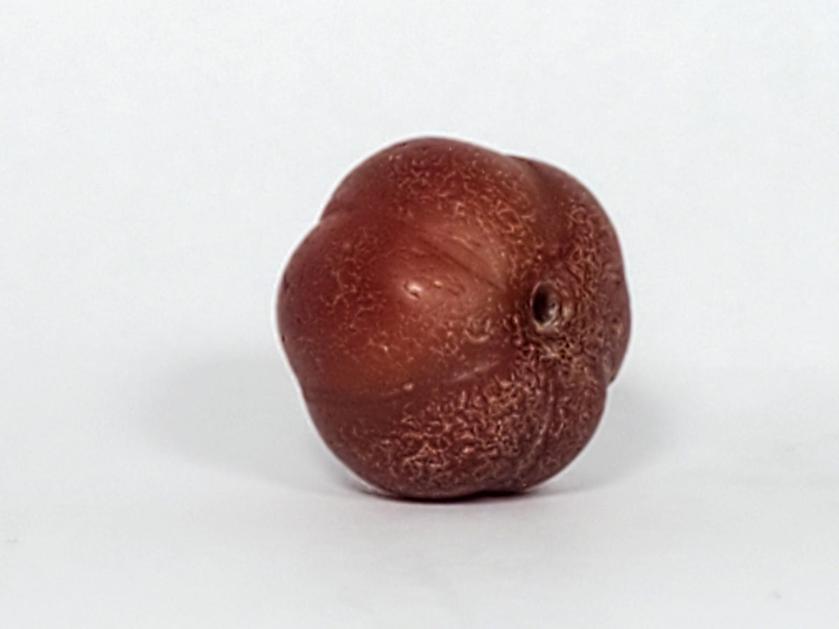 Ac-061126-PKP Bead B front, honey-brown carnelian with natural agate banding, ribbed pumpkin form, unretouched