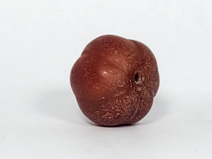 Ac-061126-PKP Bead B front, honey-brown carnelian with natural agate banding, ribbed pumpkin form, unretouched
