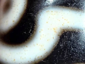 Rare Ancient Round Tibetan Dzi Bead featuring the Nine Eye Motif and Bloodspots (121725)