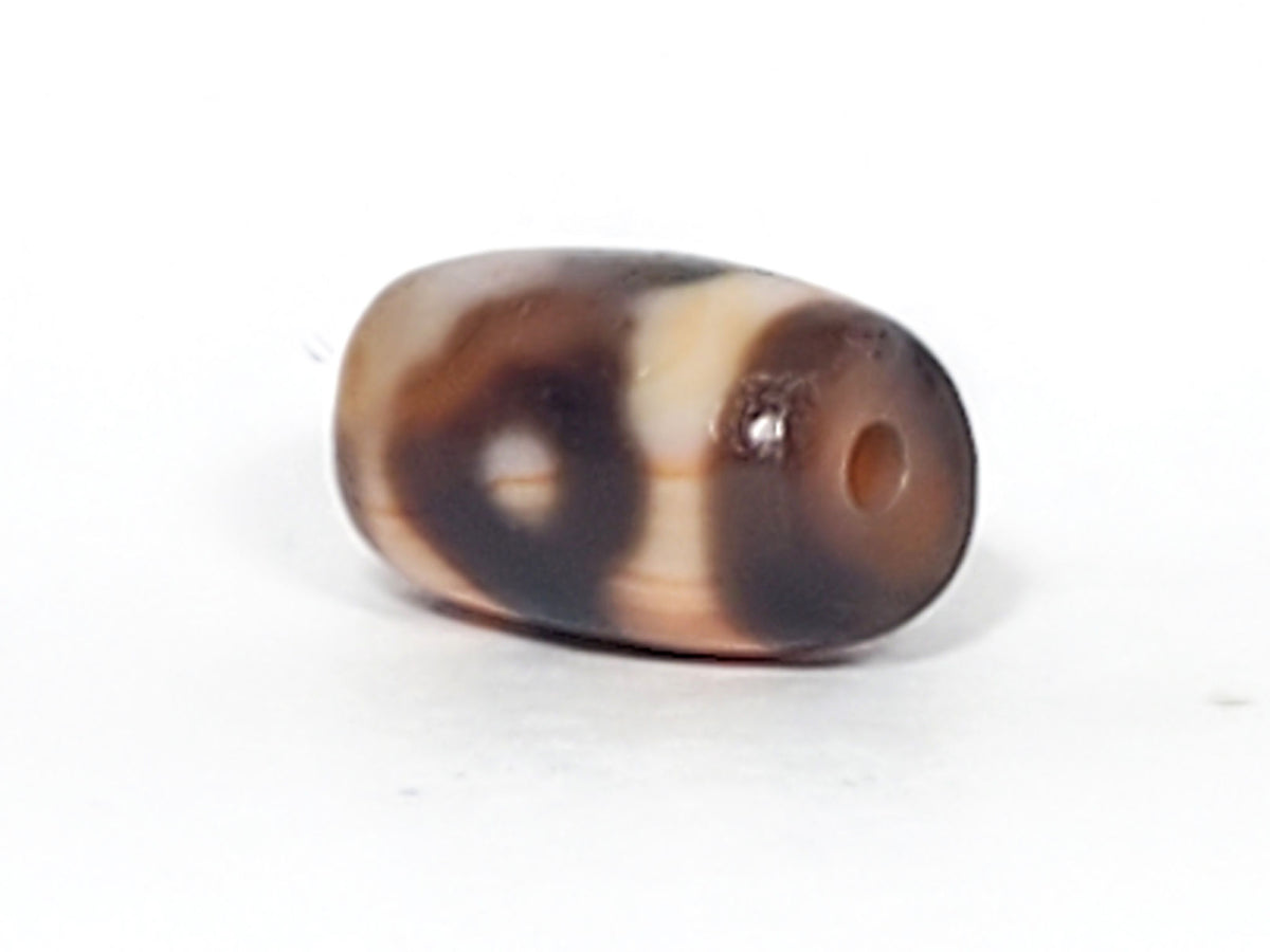 At-061926-3E2 opposite tip, small drill hole, warm golden-brown interior, unretouched