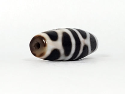 V-092824-DLBS Double Longevity dzi bead, angled end view, warm brown drill tip and cream-white body, unretouched