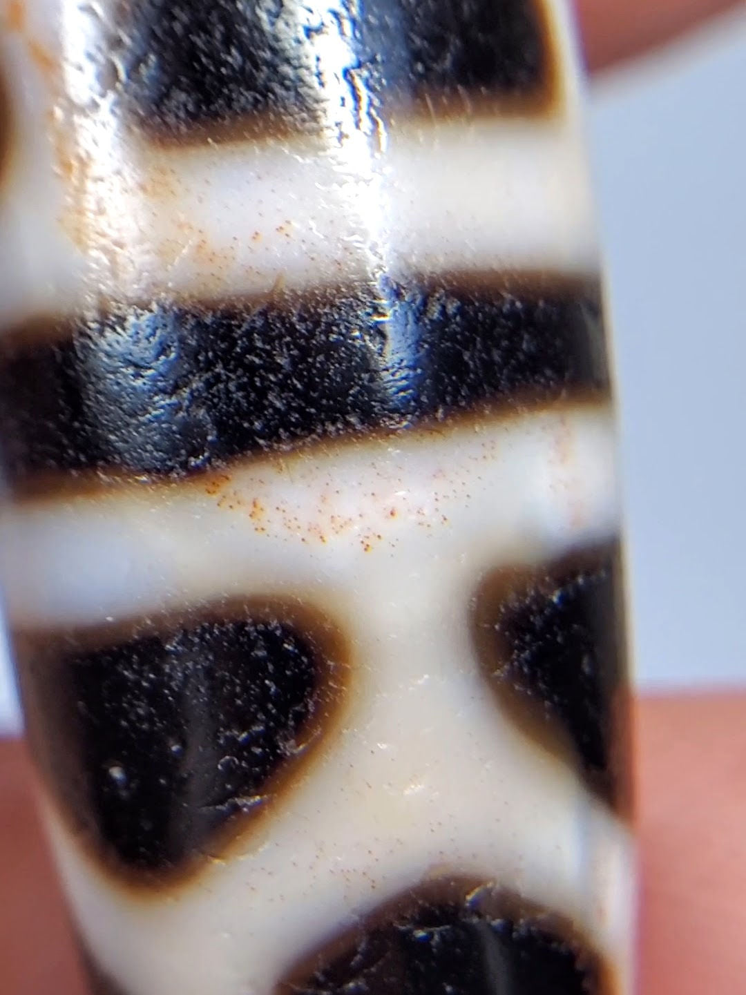 V-092824-DLBS Double Longevity dzi bead, opposite angled end view, warm brown end cap, pitch-black zones in cream field, unretouched