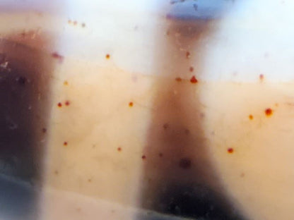 V-082123-HEBS Heaven & Earth dzi bead, macro of warm ivory cream field with broadly distributed orange-red cinnabar inclusions, unretouched