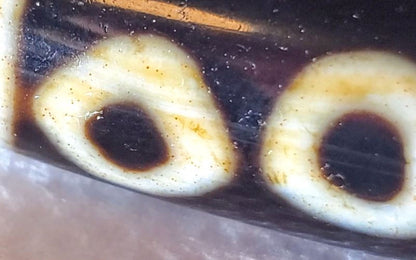 V-102723-6EBS Six Eye dzi bead, macro of two eye rings showing orange-rust bloodspot inclusions, unretouched