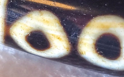 Vintage Six Eye Motif Dzi Bead with Bloodspots (TaD-V-B-SiE-102723)