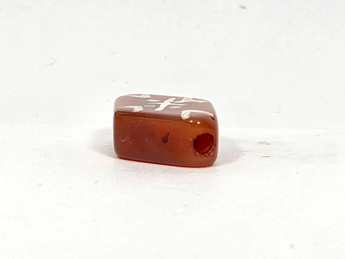 Side and end view of ancient carnelian cross tiger tooth bead showing rectangular flat profile, drill hole aperture, and deep sienna-amber carnelian body, 20.5 mm × 13.5 mm × 6.0 mm