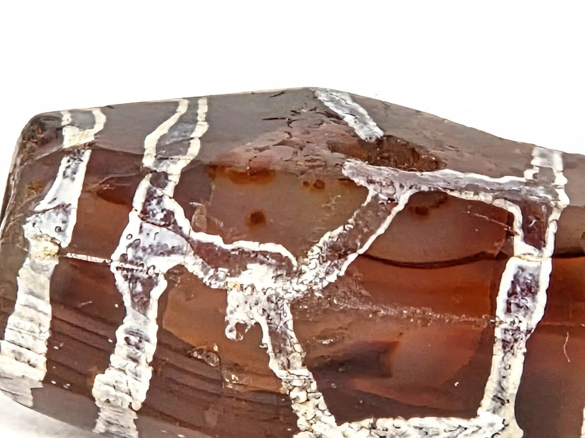 Extreme macro of medicine dig on ancient etched carnelian bead (AC-101026-CM2) showing deliberate excavation into carnelian surface with smooth worn edges, aged mineral deposits in interior, and surrounding white etching