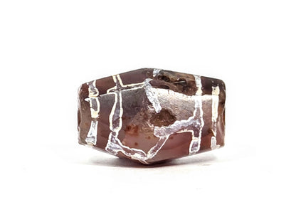 Ancient etched carnelian bead (AC-101026-CM2), first lateral profile showing tortoise shell longevity motif in extreme mineralised white etching on deep reddish-brown carnelian, medicine dig depression visible, 1000–1500 years old