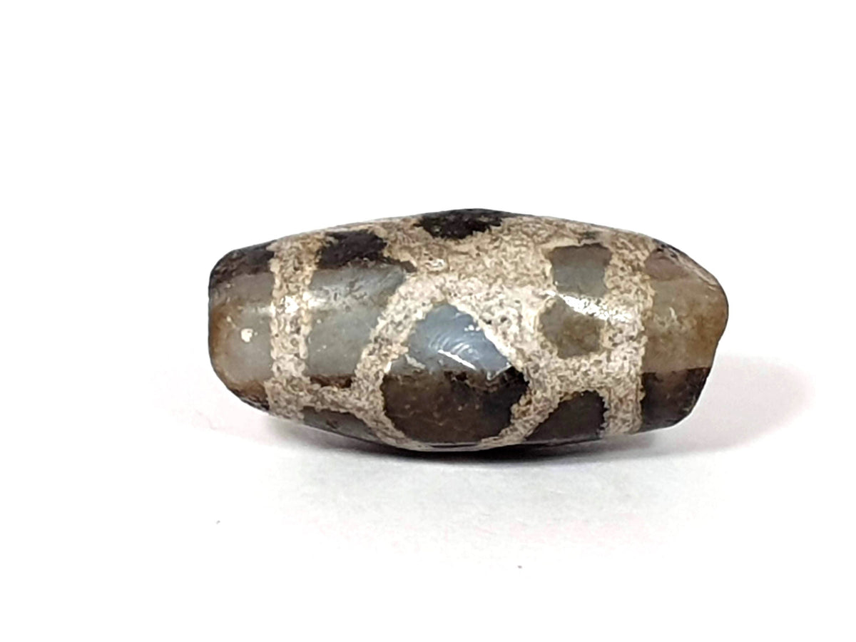 Third face of ancient Tortoise Shell Dzi — pale blue-grey translucent agate panels, cream longevity lines