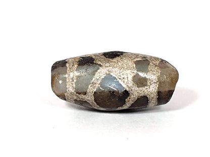 Third face of ancient Tortoise Shell Dzi — pale blue-grey translucent agate panels, cream longevity lines