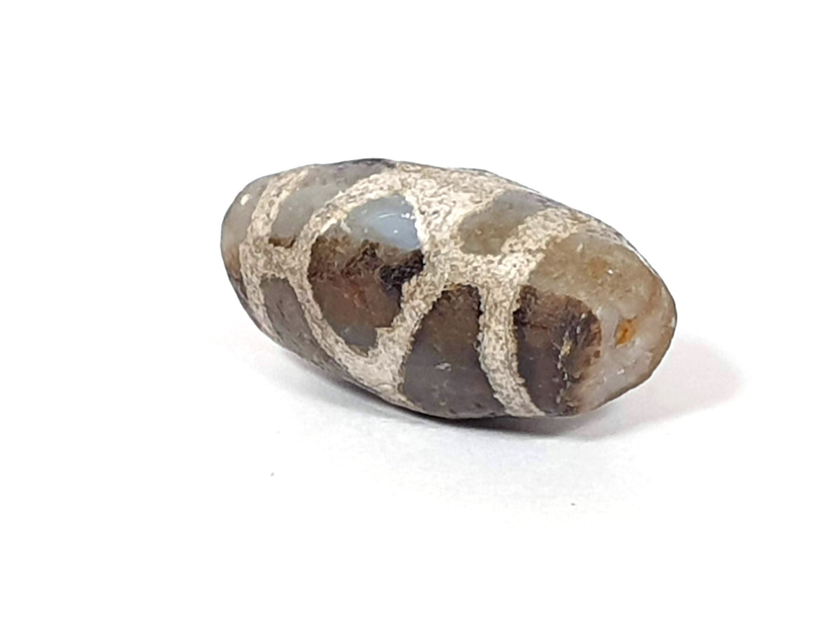 End view of ancient Tortoise Shell Dzi — drill hole visible, pale agate and cream longevity pattern