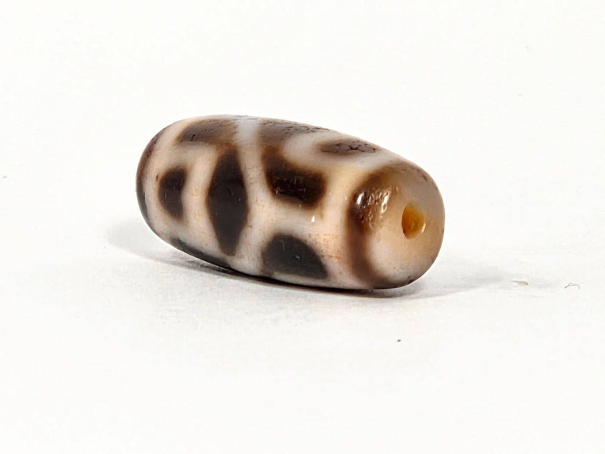 At-080926-6ELCBS antique Six Eye Lotus Cross dzi bead 24.1×10.8mm, opposite angled drill-end view showing cream end cap, drill hole, and oval eye forms, unretouched
