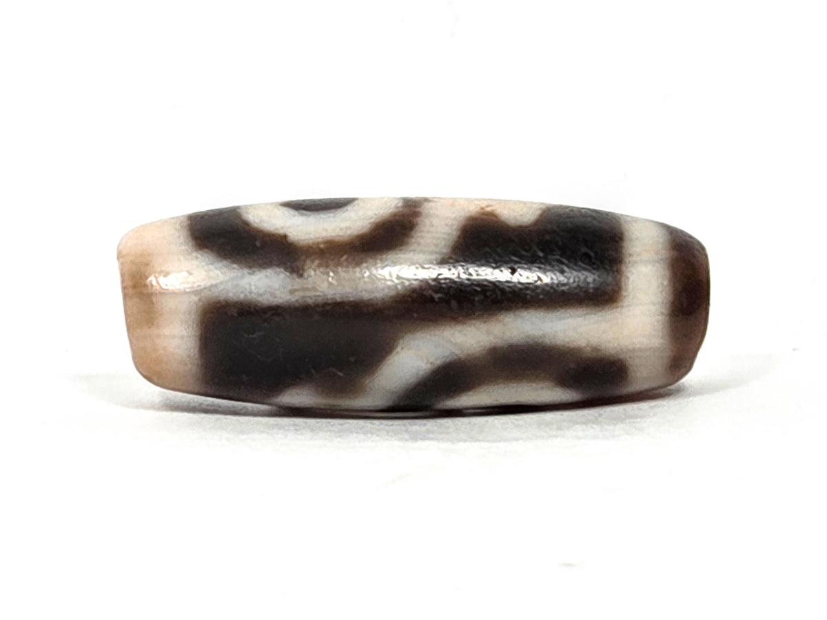 At-062226-2ETV2, face B, two eye treasure vase dzi, dark brown agate, second eye and vase composition, unretouched