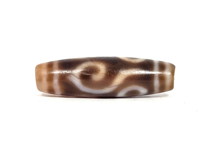 At-090626-4EDC antique four eye dharma conch dzi 45.6x13.3mm warm brown agate conch scroll face A unretouched
