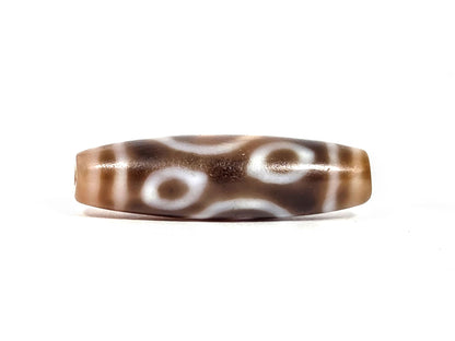 At-090626-4EDC antique four eye dharma conch dzi warm brown agate two-eye face B concentric rings unretouched
