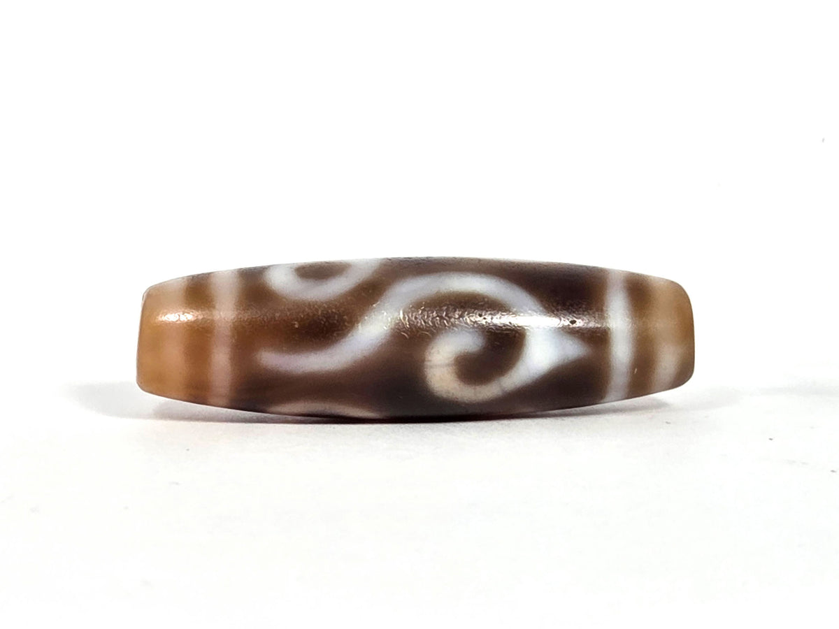 At-090626-4EDC antique four eye dharma conch dzi warm brown agate conch scroll face C single spiral unretouched