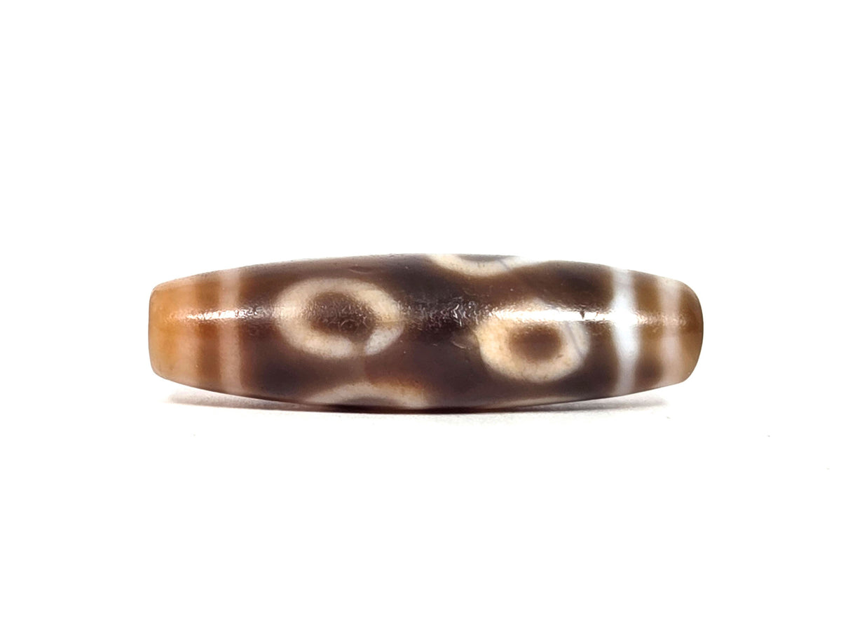 At-090626-4EDC antique four eye dharma conch dzi warm brown agate two-eye face D lower register unretouched
