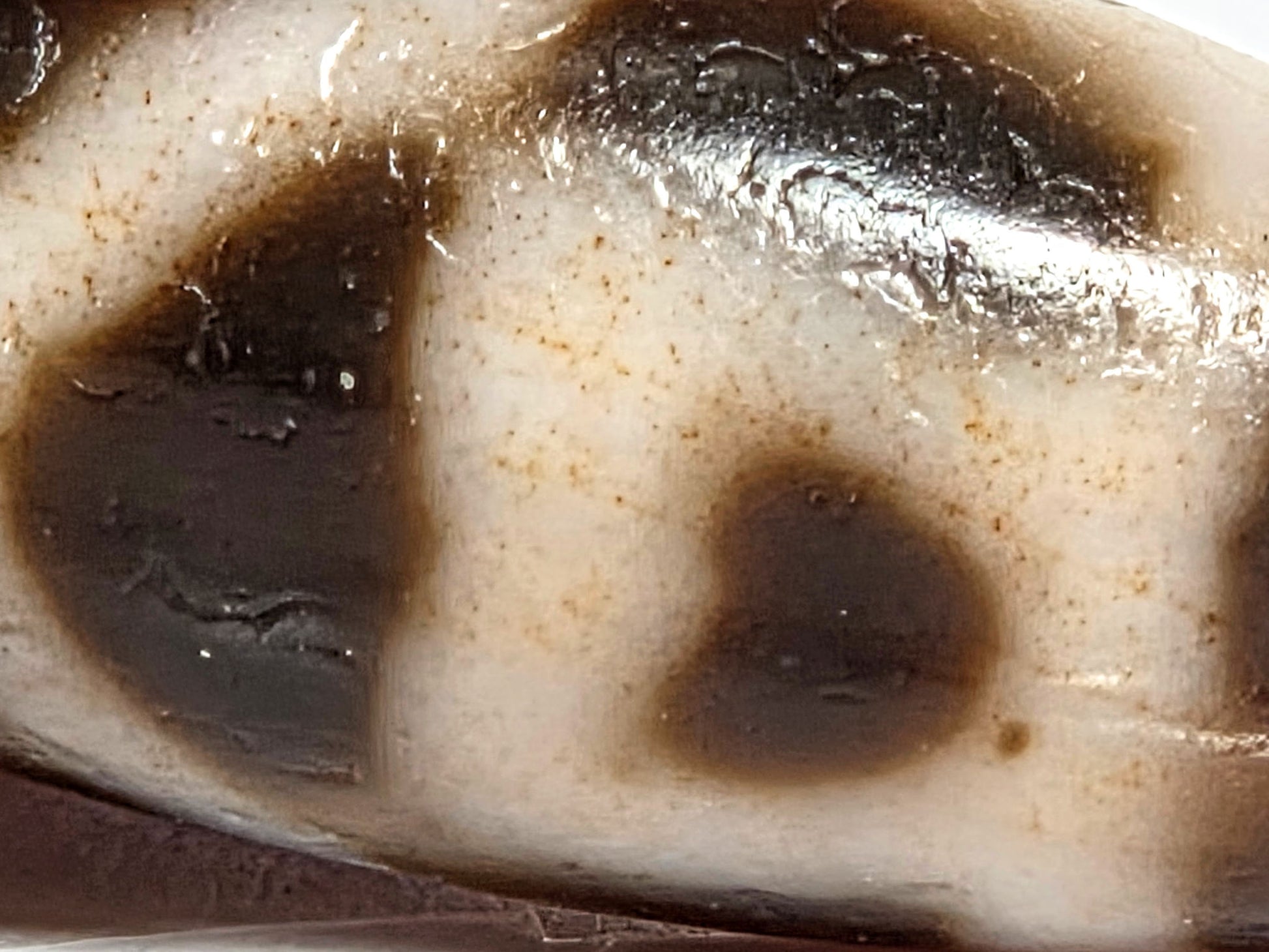 At-080926-6ELCBS macro view showing warm reddish-brown cinnabar bloodspot micro-dot scatter in cream zone with boundary concentration at dark oval edge, unretouched