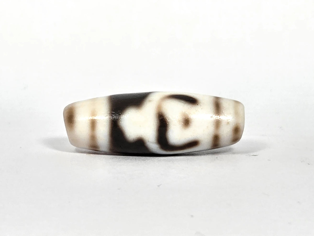 Antique Tibetan twin lotus treasure vase dzi bead AT-B-101226-TLV, first lateral profile showing dark brown curvilinear motif on cream-white agate ground with bloodspot patina, 200–300 years old